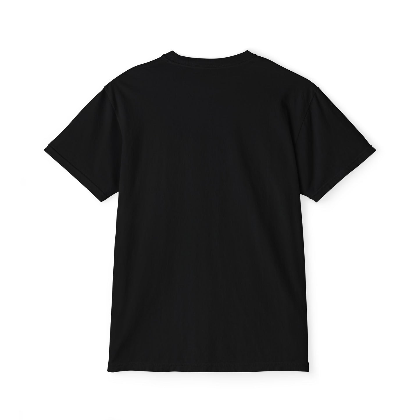 Unisex Garment-Dyed Pocket T-Shirt (Rave Bünny)