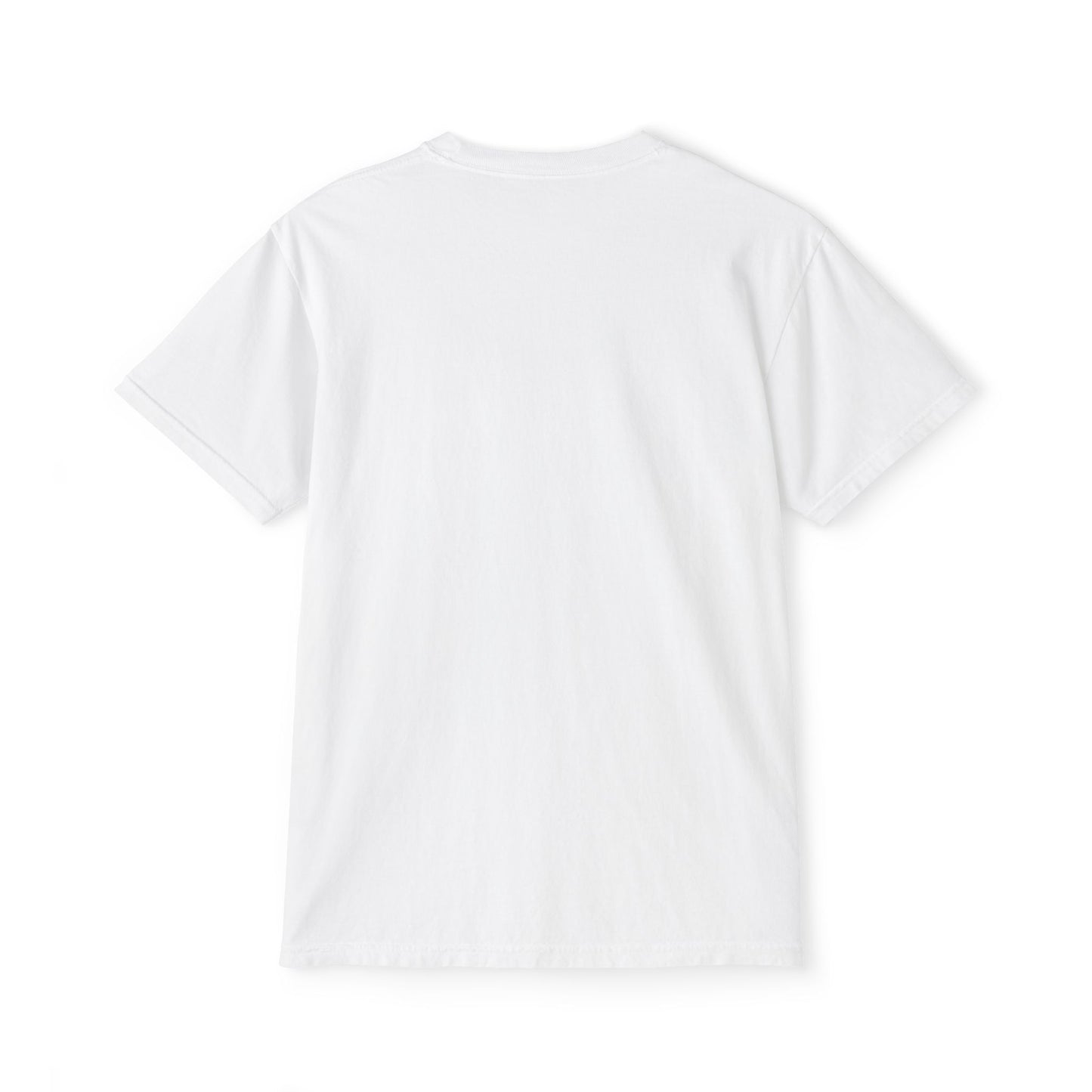 Unisex Garment-Dyed Pocket T-Shirt (Rave Bünny)